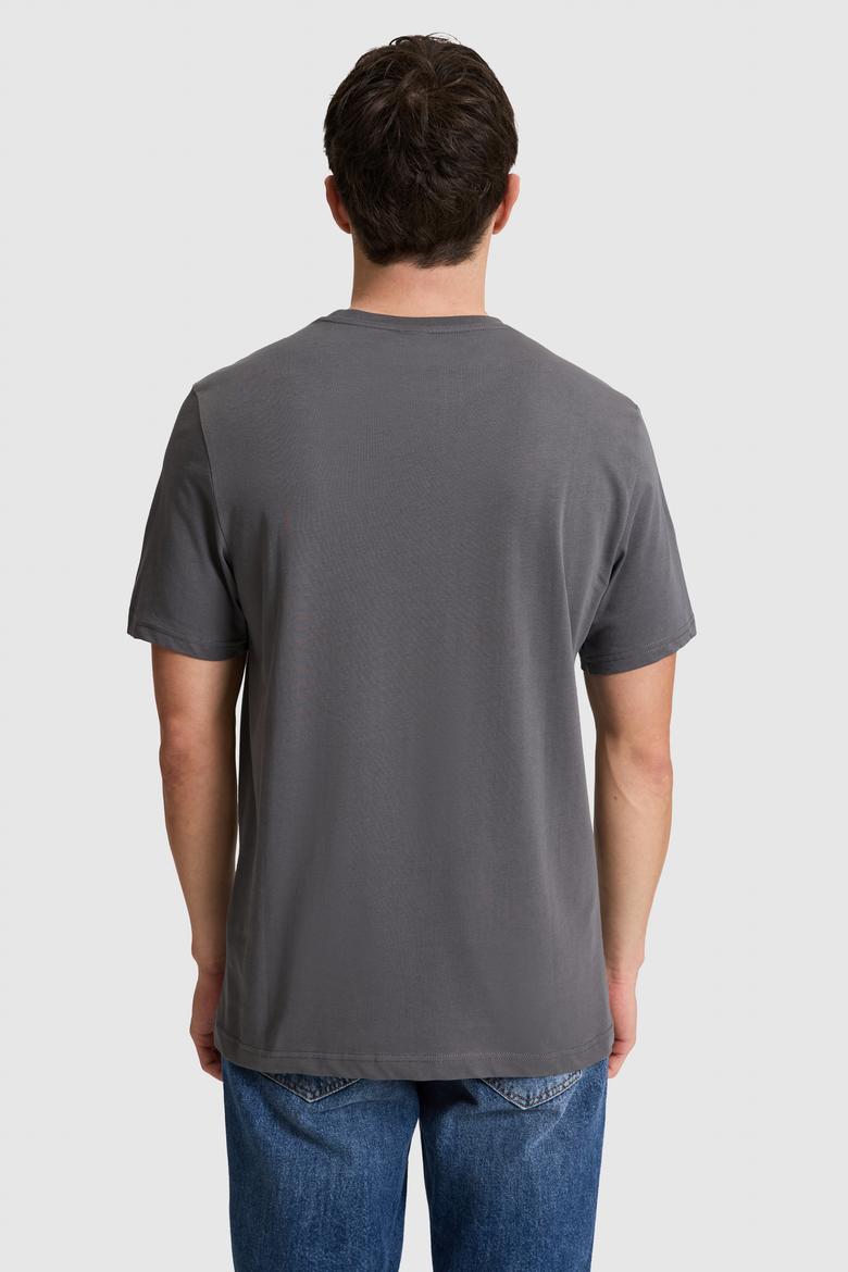 Erkek Antrasit Regular Fit Polo Yaka Basic Tişört - 50327022012