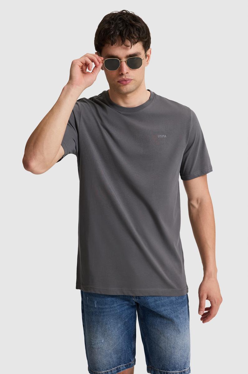 Erkek Antrasit Regular Fit Polo Yaka Basic Tişört