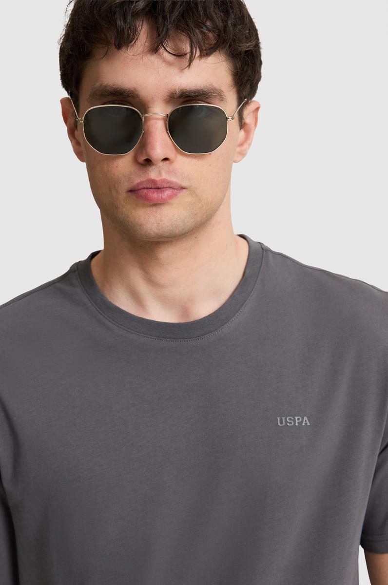 Erkek Antrasit Regular Fit Polo Yaka Basic Tişört