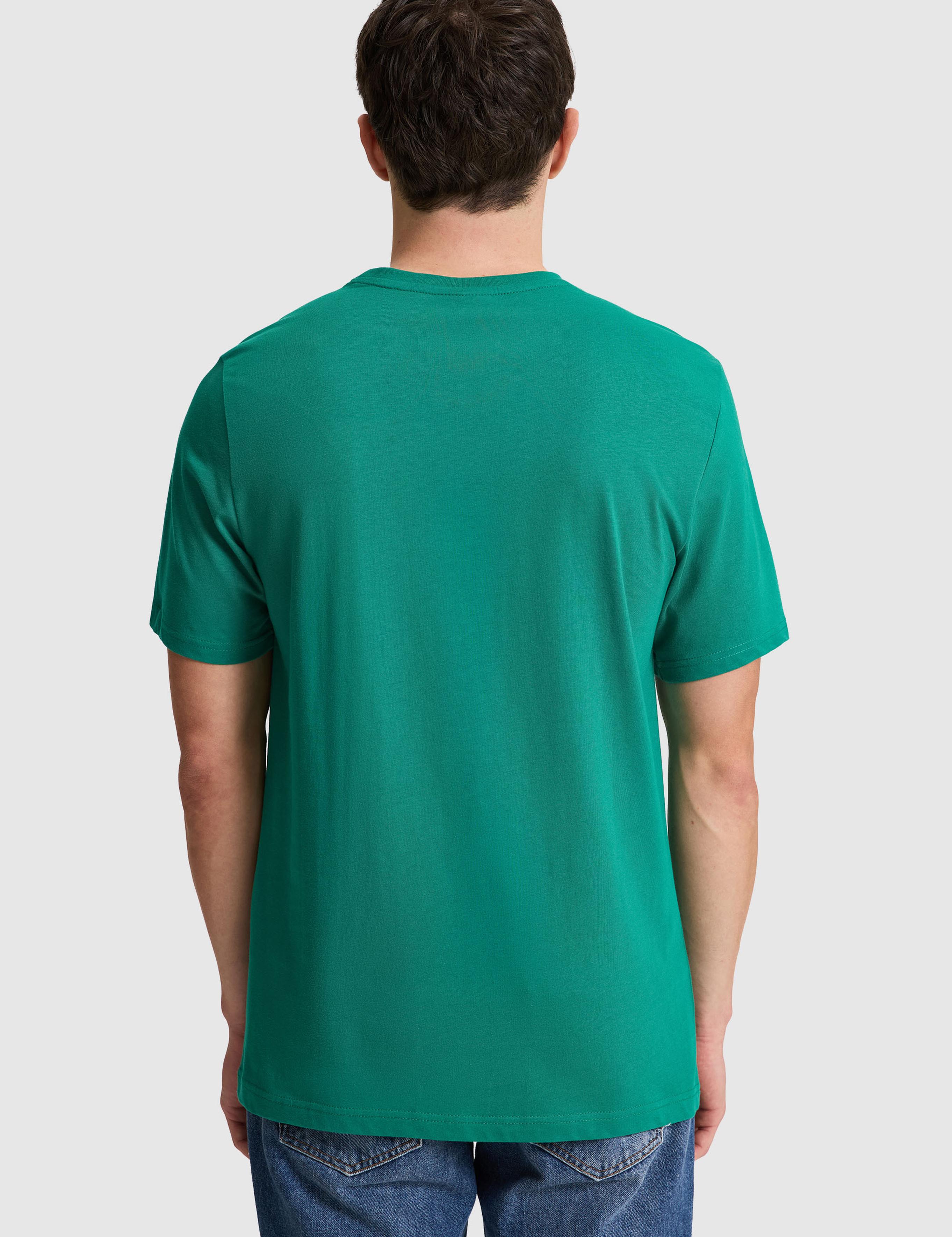 تی شرت یقه گرد رگولار مردانه یو اس پولو | U.S. Polo Assn. - تصویر 5