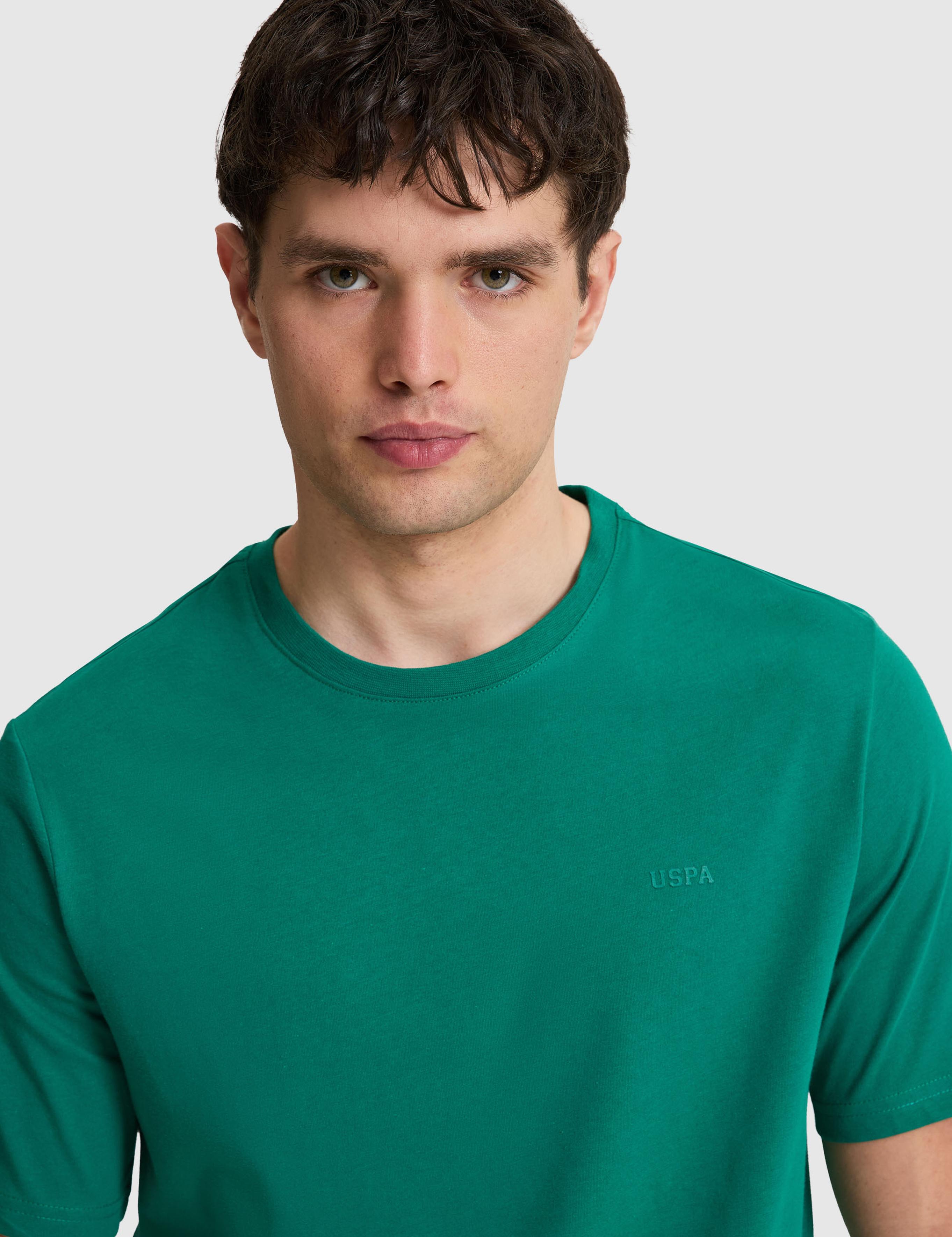 تی شرت یقه گرد رگولار مردانه یو اس پولو | U.S. Polo Assn. - تصویر 2
