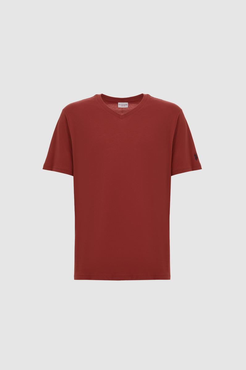 Erkek Reguar Fit V Yaka Vişne Basic Tişört