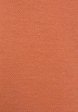 Erkek Çocuk Gül Kurusu Polo Yaka Basic Tişört - 50325608036