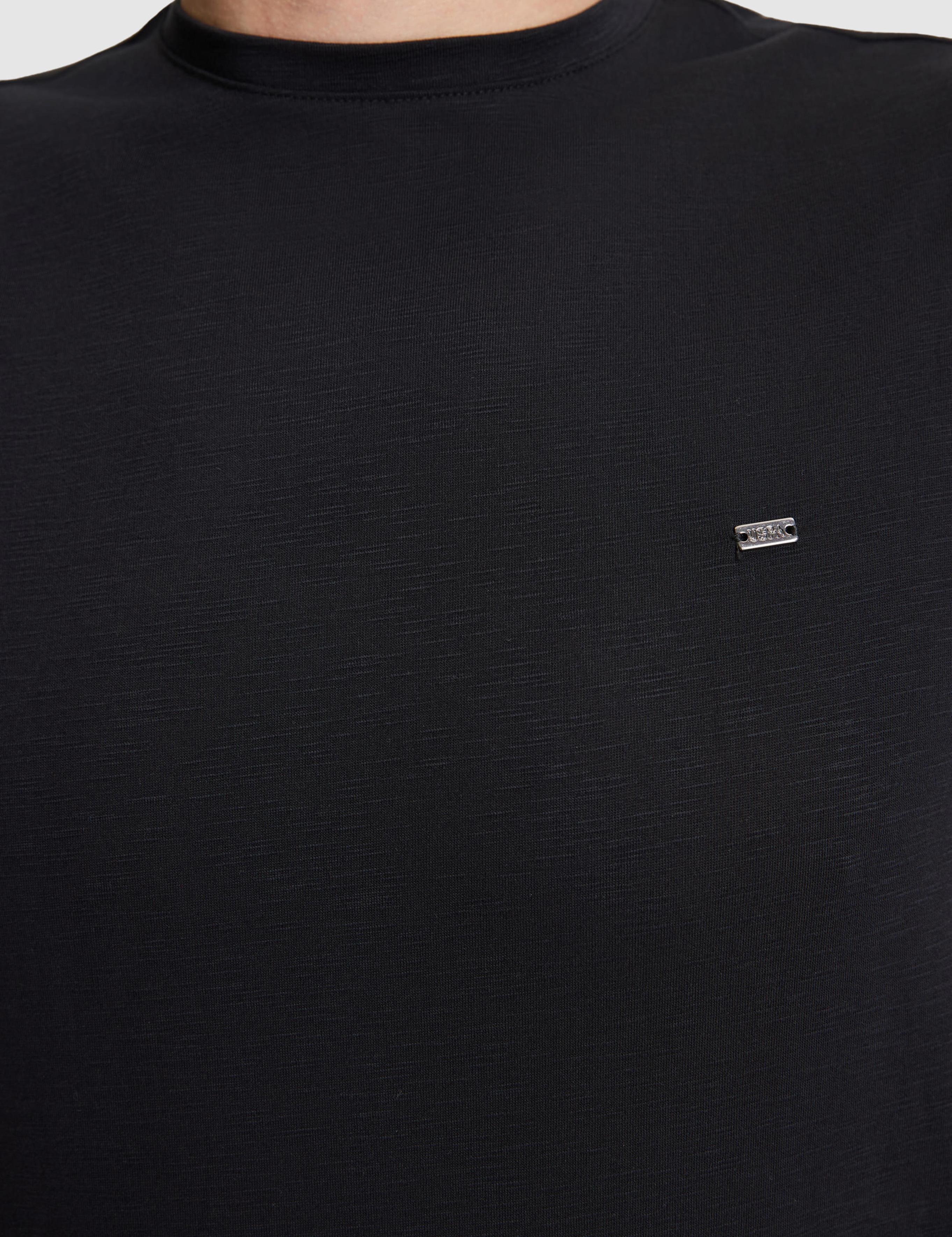 تی شرت یقه گرد رگولار مردانه یو اس پولو | U.S. Polo Assn. - تصویر 7