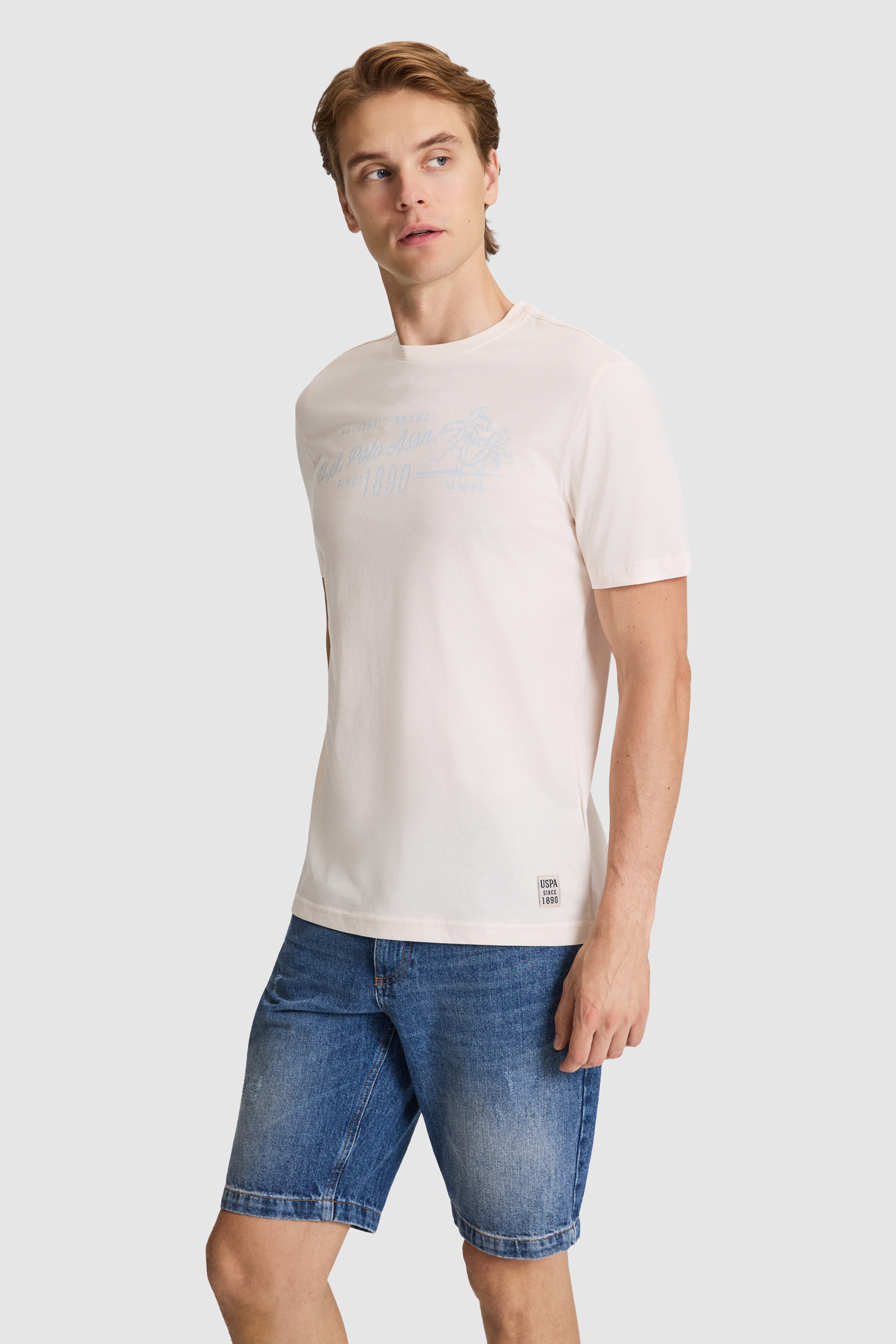 Erkek Krem Regular Fit Bisiklet Yaka Tişört - Image 3