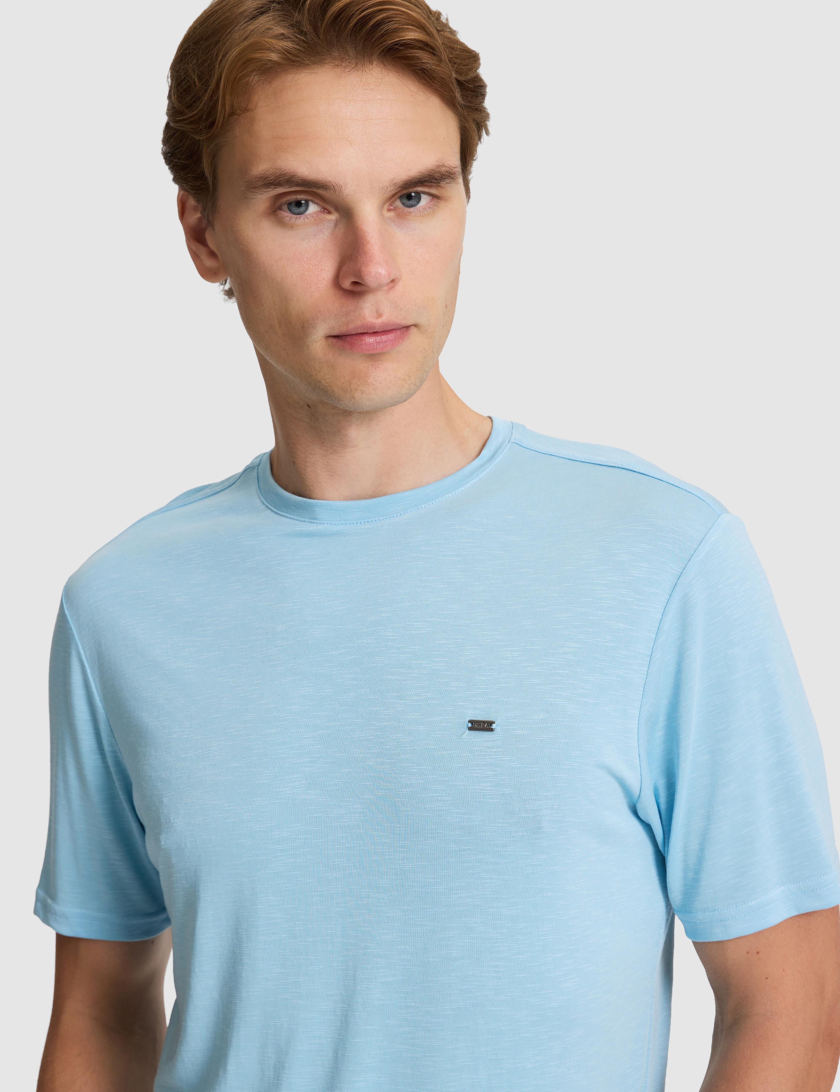 تی شرت رگولار مردانه یو اس پولو | U.S. Polo Assn. - تصویر 2