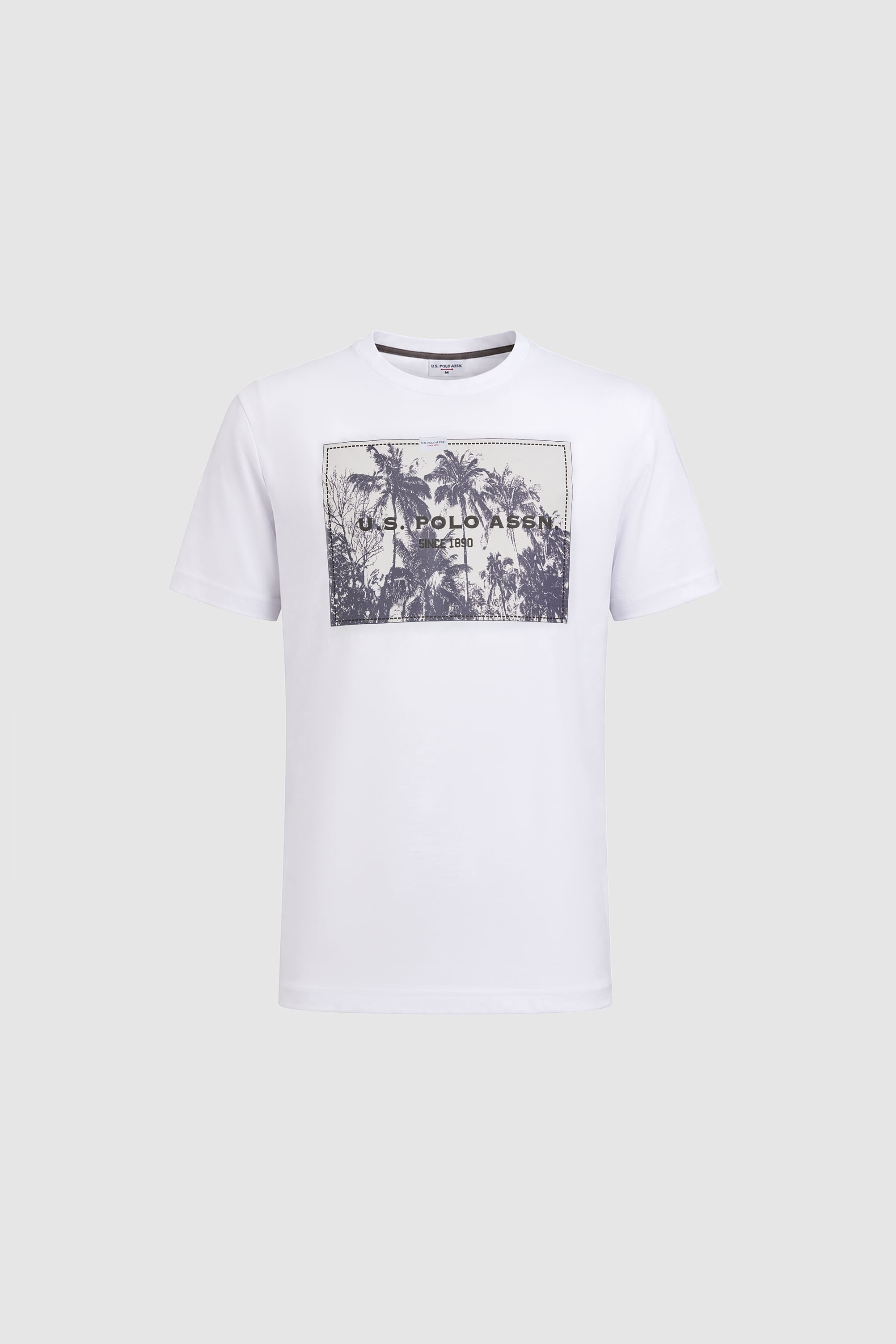 Erkek Beyaz Regular Fit Bisiklet Yaka Tişört - 50322413009