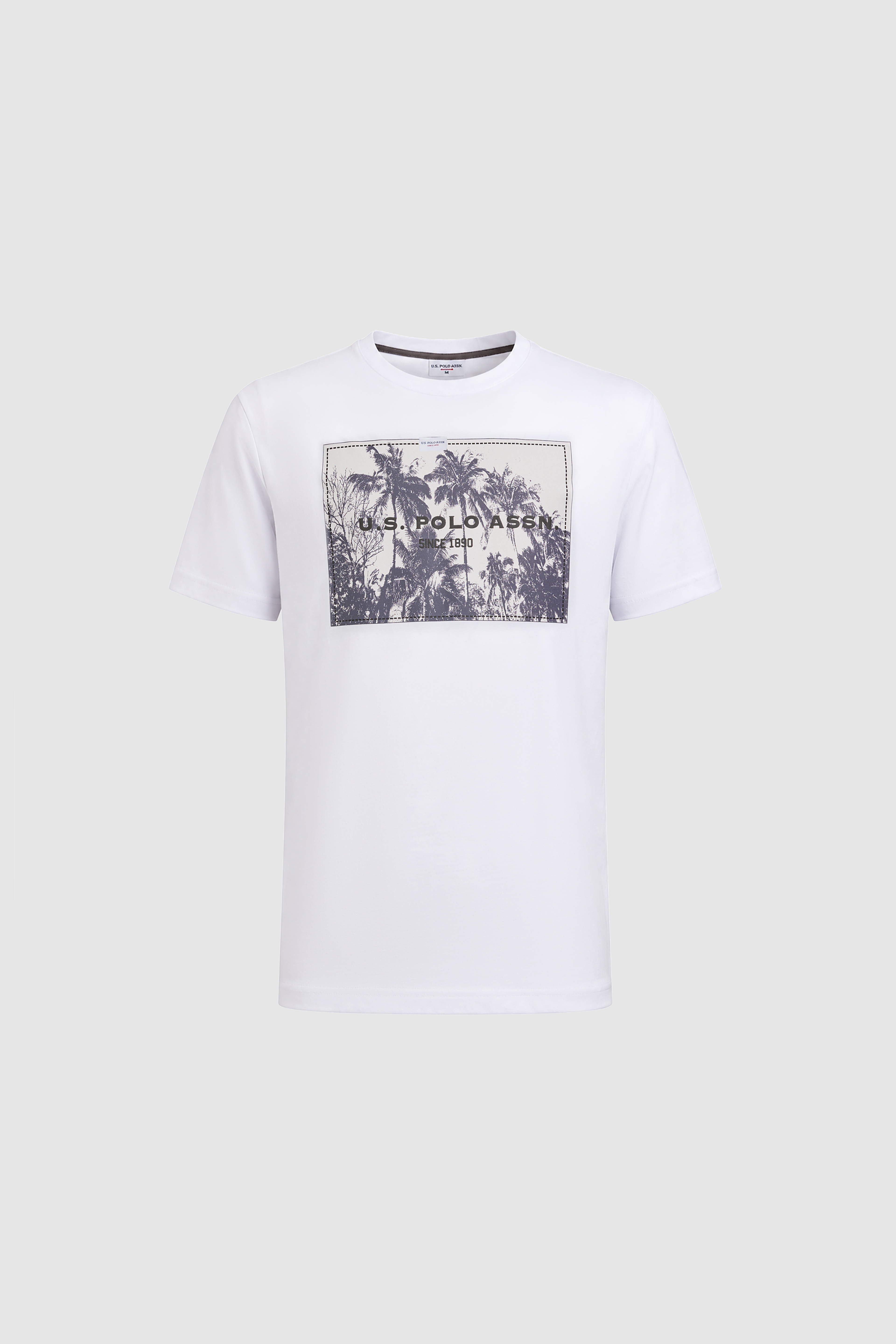 Erkek Beyaz Regular Fit Bisiklet Yaka Tişört - Image 7