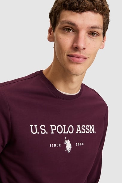 Erkek Bordo Bisiklet Yaka Regular Fit  Basic Sweatshirt