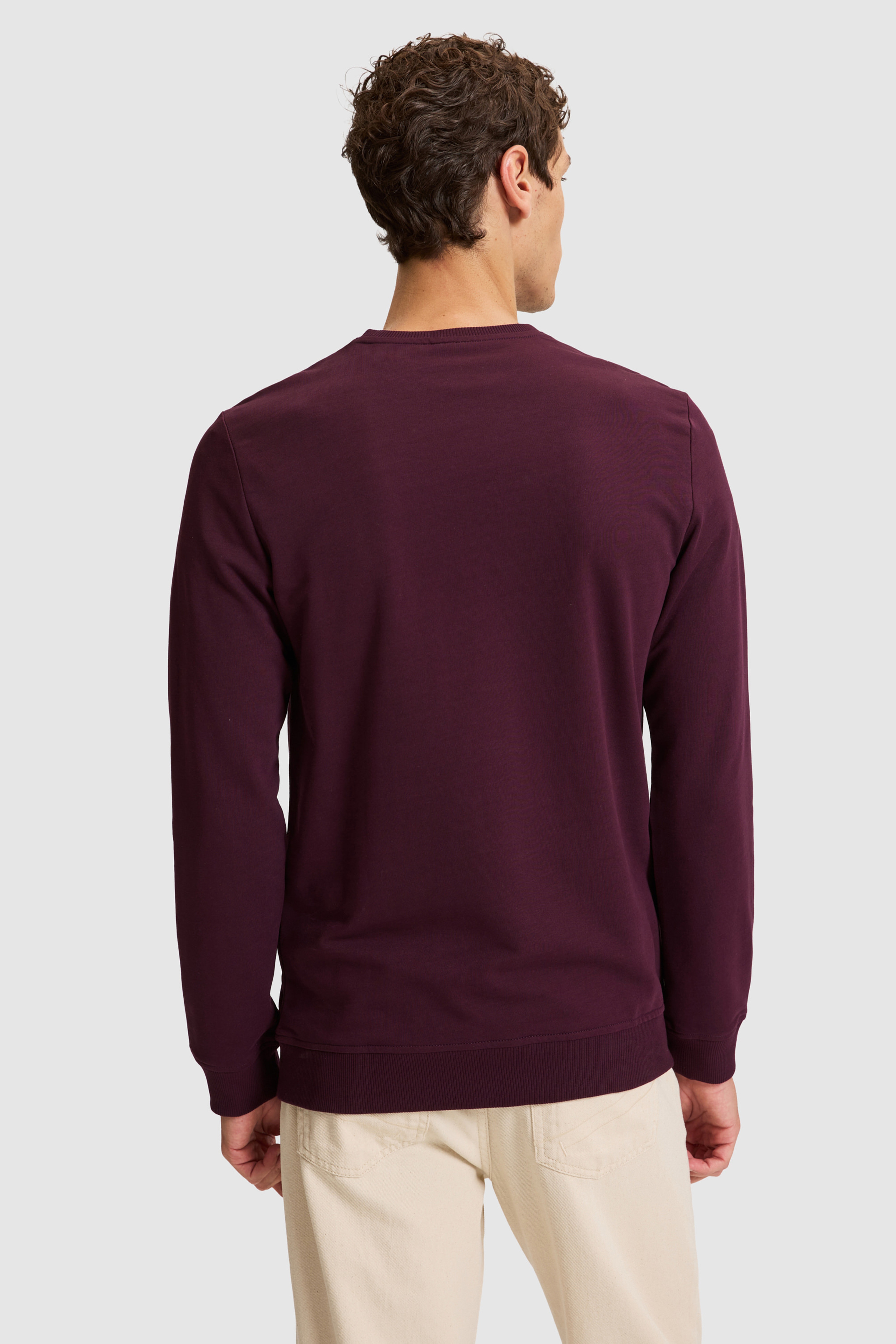 Erkek Bordo Bisiklet Yaka Regular Fit  Basic Sweatshirt