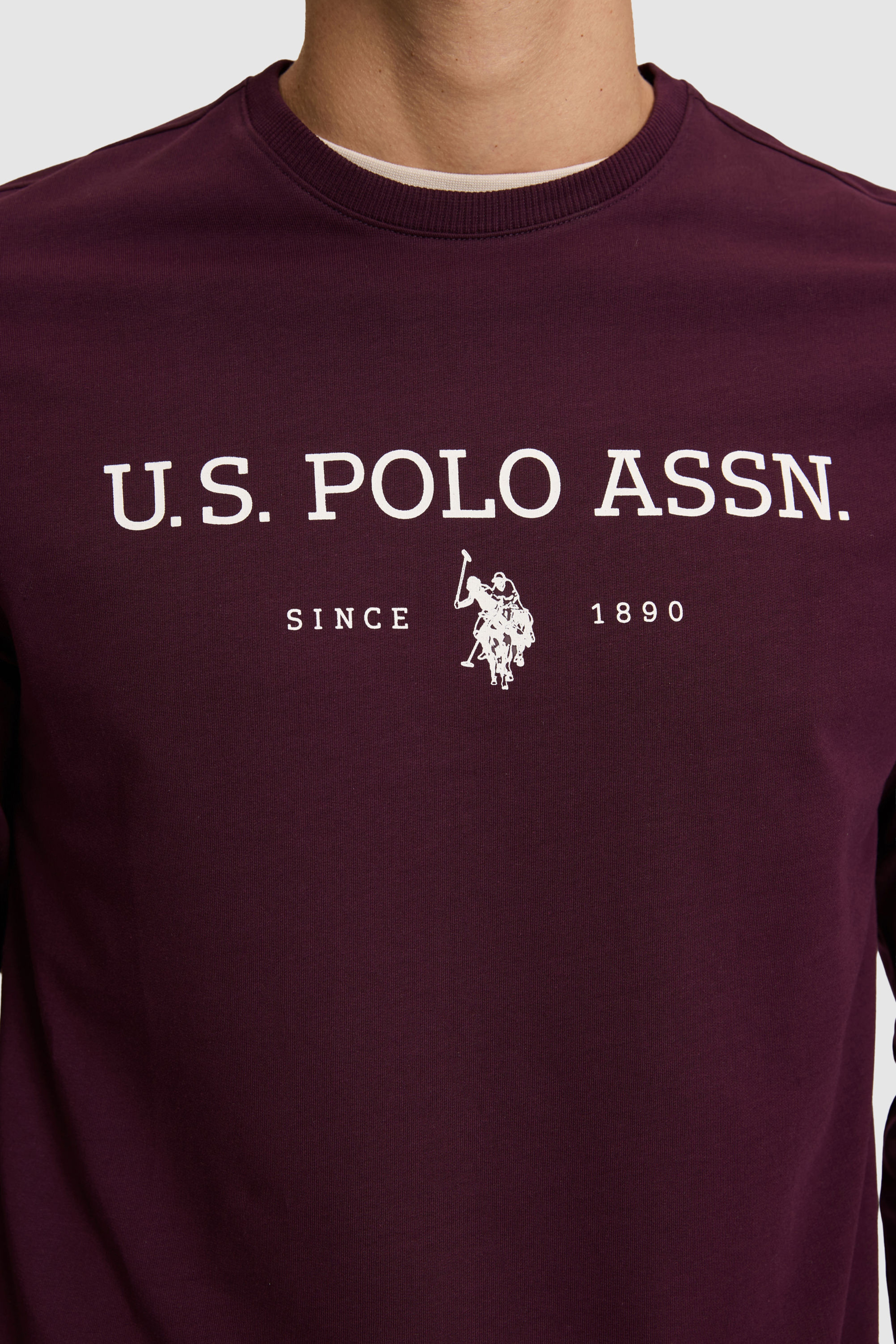 Erkek Bordo Bisiklet Yaka Regular Fit  Basic Sweatshirt