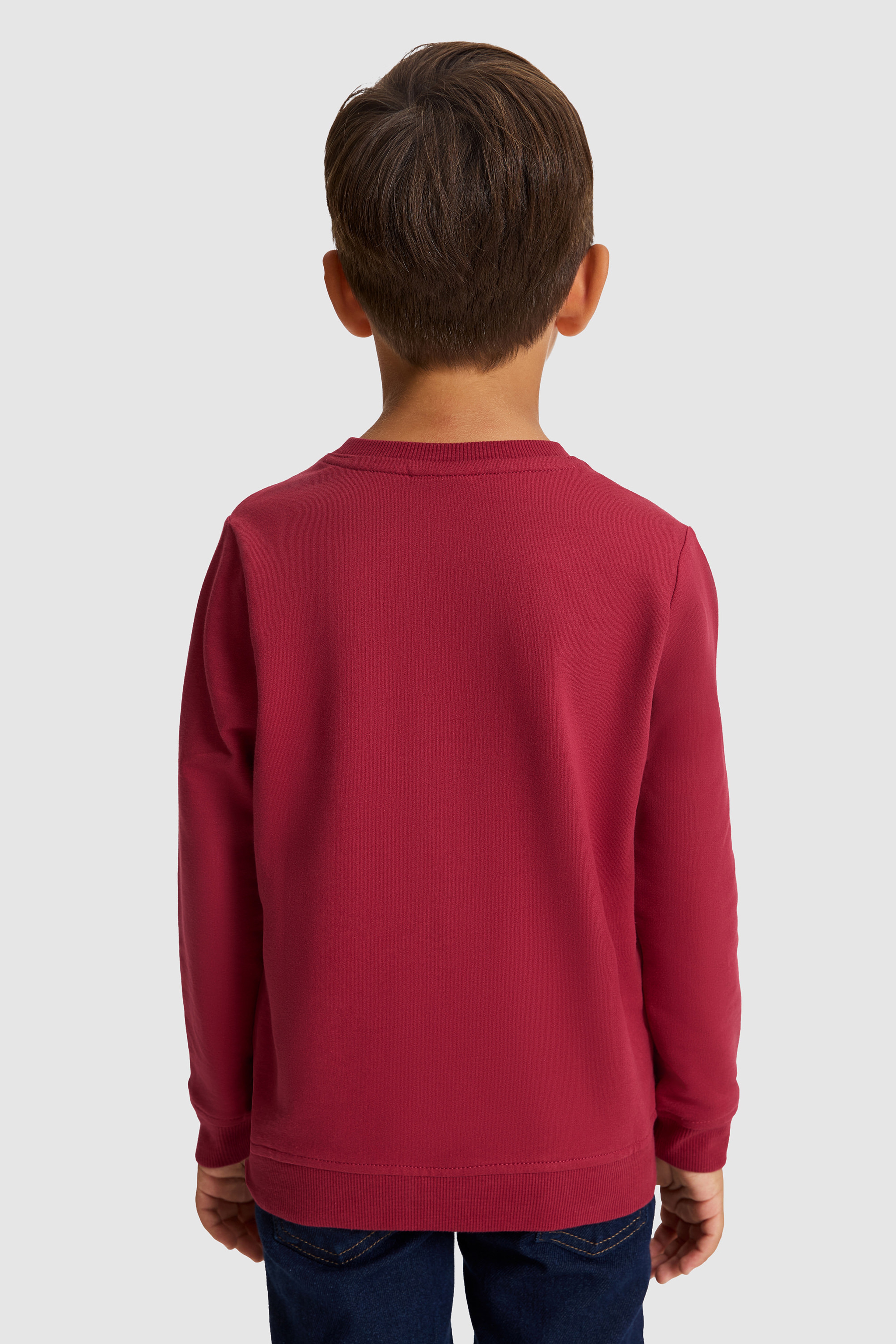 Erkek Çocuk Bordo USPA Baskılı Bisiklet Yaka %100 Pamuk Sweatshirt - Image 5
